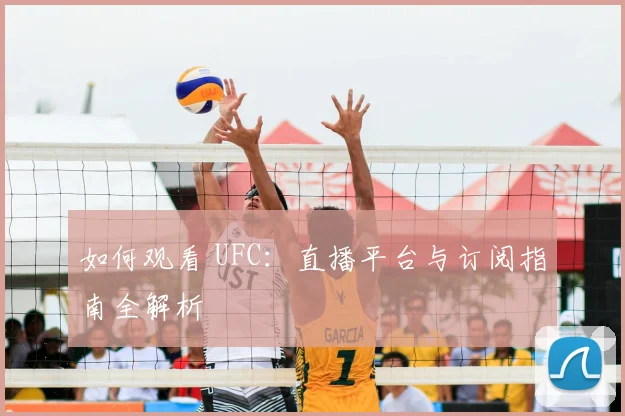 如何观看 UFC：直播平台与订阅指南全解析