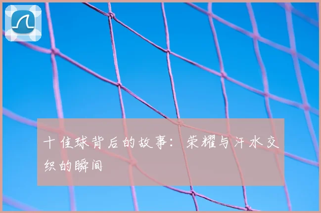 十佳球背后的故事:荣耀与汗水交织的瞬间