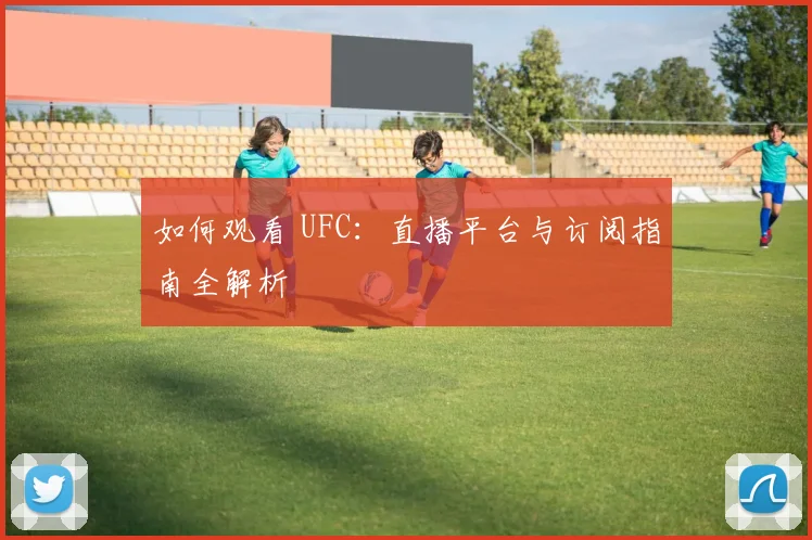 如何观看 UFC：直播平台与订阅指南全解析
