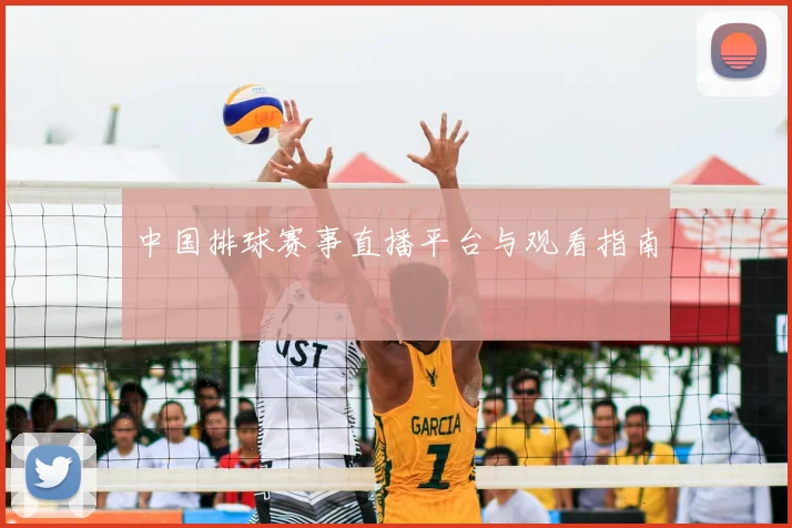 中国排球赛事直播平台与观看指南
